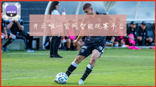 开云唯一官网智能观赛平台