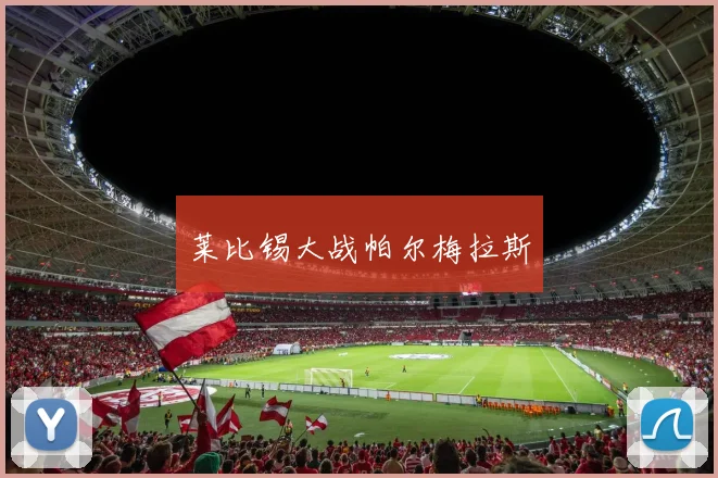 莱比锡大战帕尔梅拉斯