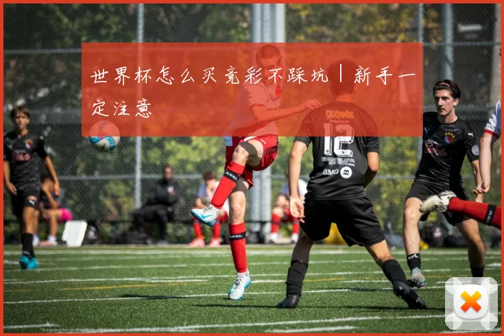 世界杯怎么买竞彩不踩坑｜新手一定注意