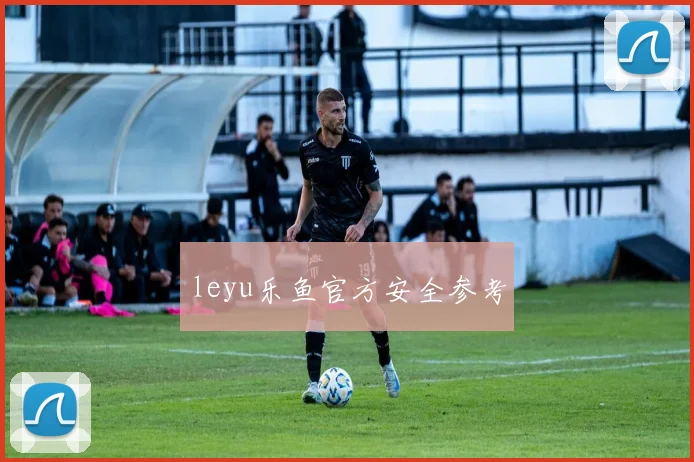 leyu乐鱼官方安全参考