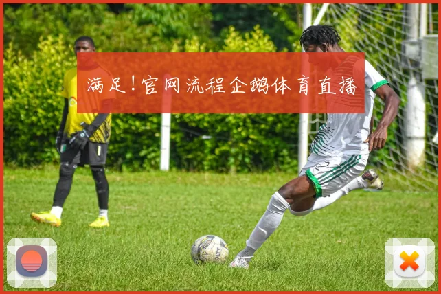 满足!官网流程企鹅体育直播