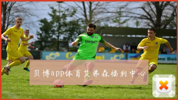 贝博app体育艾弗森福利中心