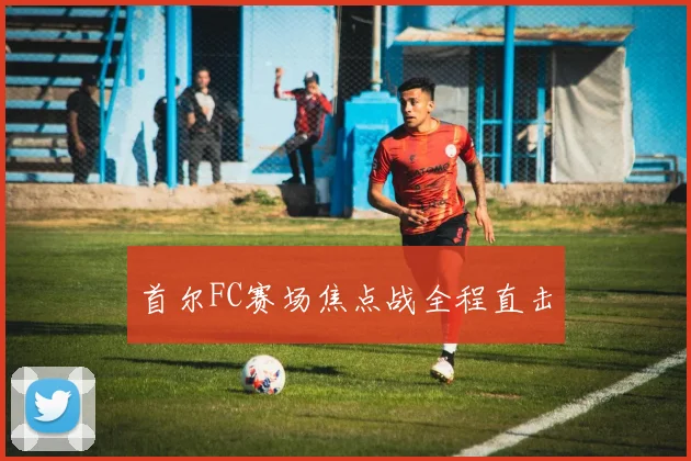 首尔FC赛场焦点战全程直击