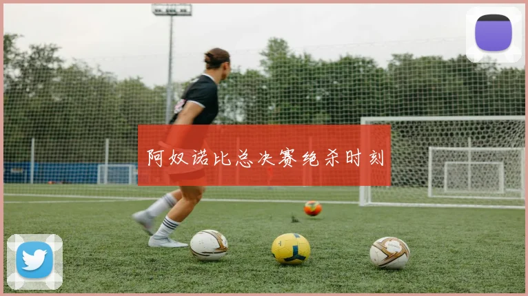 阿奴诺比总决赛绝杀时刻