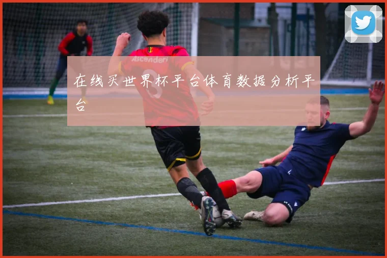 在线买世界杯平台体育数据分析平台