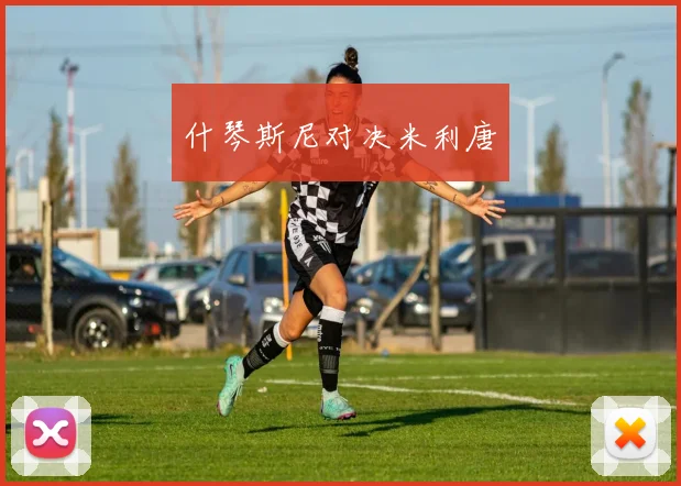 什琴斯尼对决米利唐