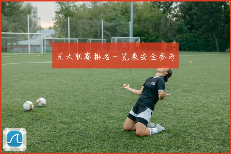 五大联赛排名一览表安全参考