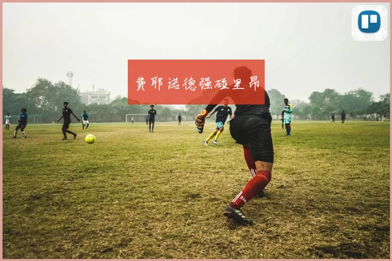 费耶诺德强碰里昂