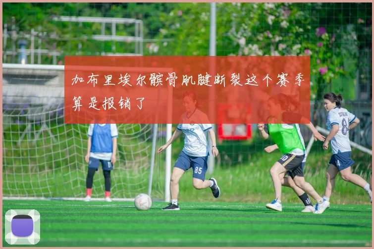 加布里埃尔髌骨肌腱断裂这个赛季算是报销了