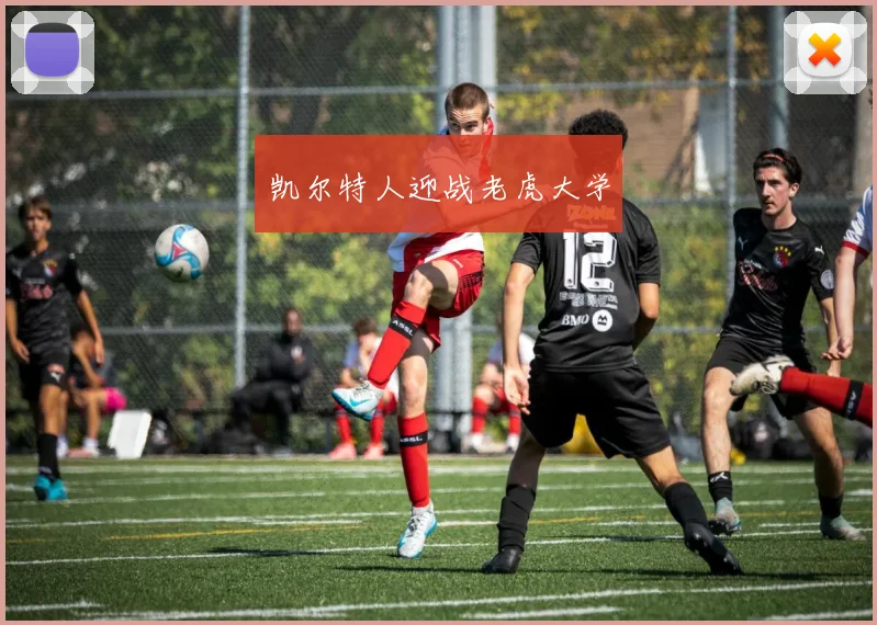 凯尔特人迎战老虎大学