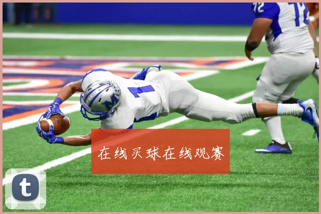 在线买球在线观赛
