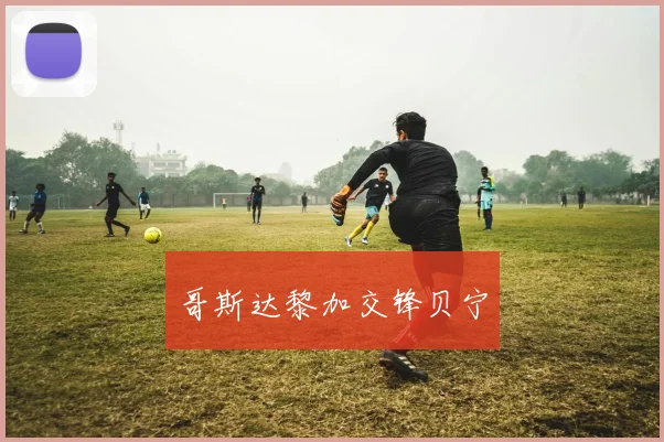哥斯达黎加交锋贝宁