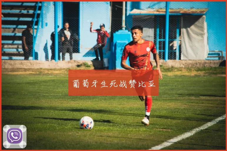 葡萄牙生死战赞比亚