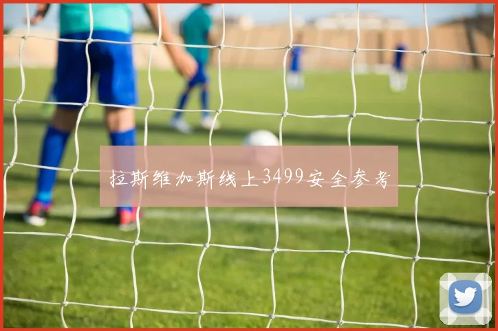 拉斯维加斯线上3499安全参考