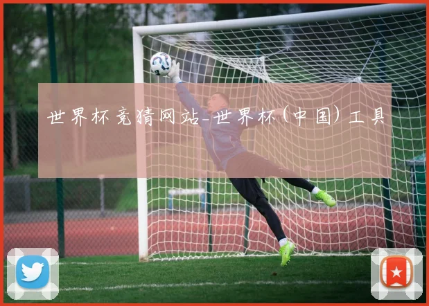 世界杯竞猜网站_世界杯(中国)工具