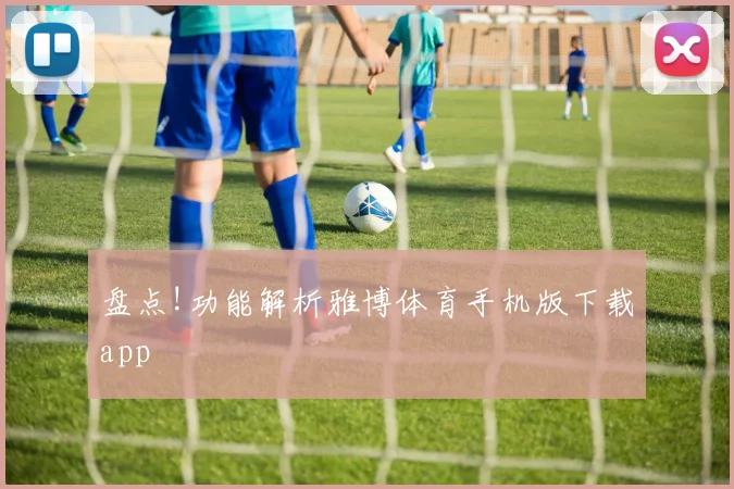 盘点!功能解析雅博体育手机版下载app