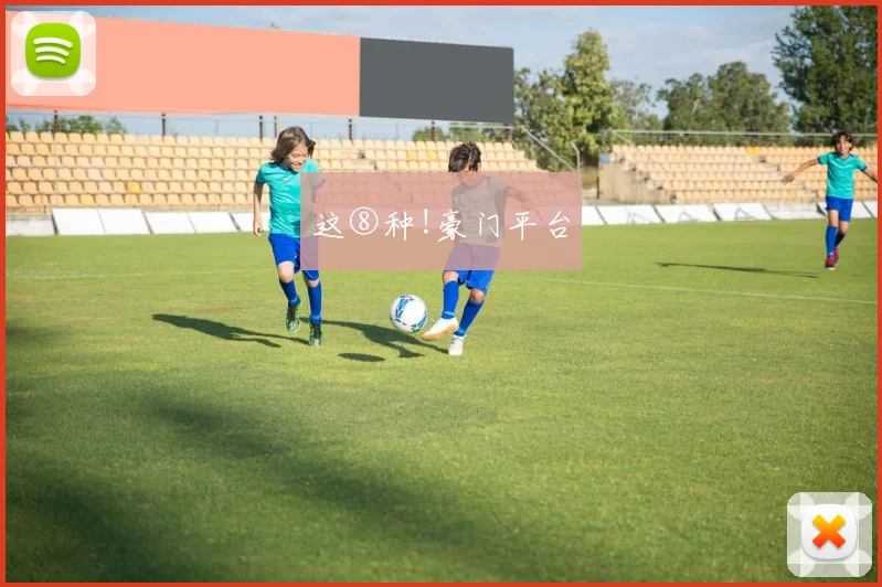 这⑧种!豪门平台