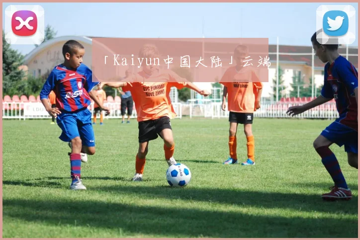 「Kaiyun中国大陆」云端
