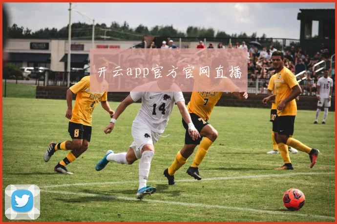 开云app官方官网直播