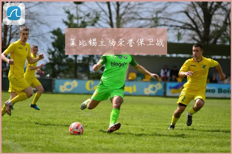 莱比锡主场荣誉保卫战