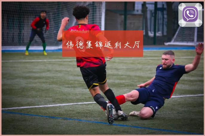 伟德集锦返利大厅
