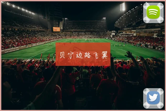 贝宁边路飞翼