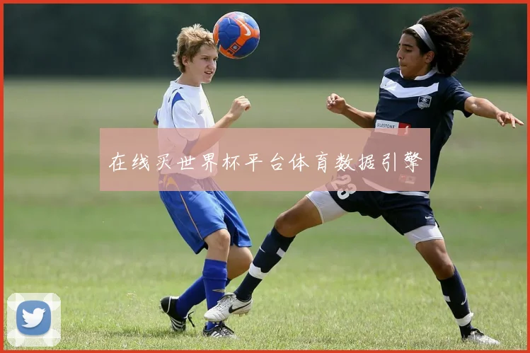 在线买世界杯平台体育数据引擎