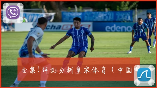 合集!评测分析皇家体育（中国）
