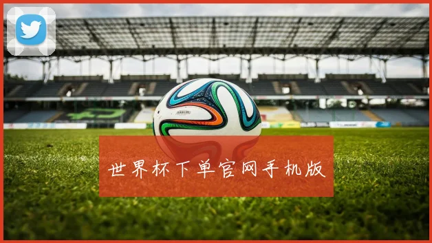 世界杯下单官网手机版