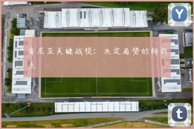 肯尼亚关键战役：决定局势的转折点