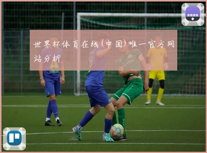 世界杯体育在线(中国)唯一官方网站分析