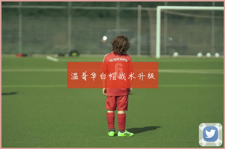 温哥华白帽战术升级