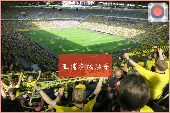 亚搏在线助手