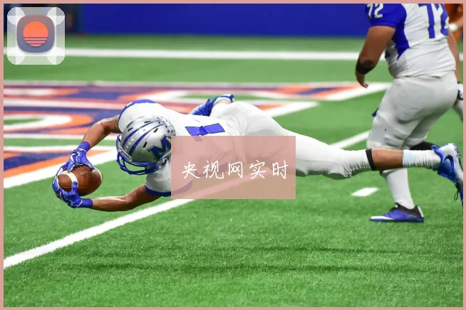 央视网实时