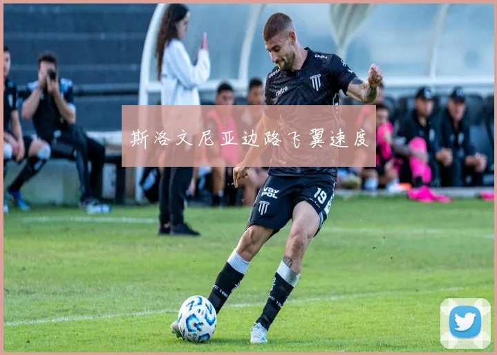 斯洛文尼亚边路飞翼速度