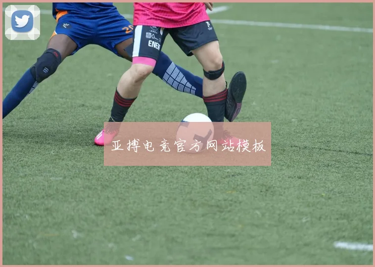 亚搏电竞官方网站模板