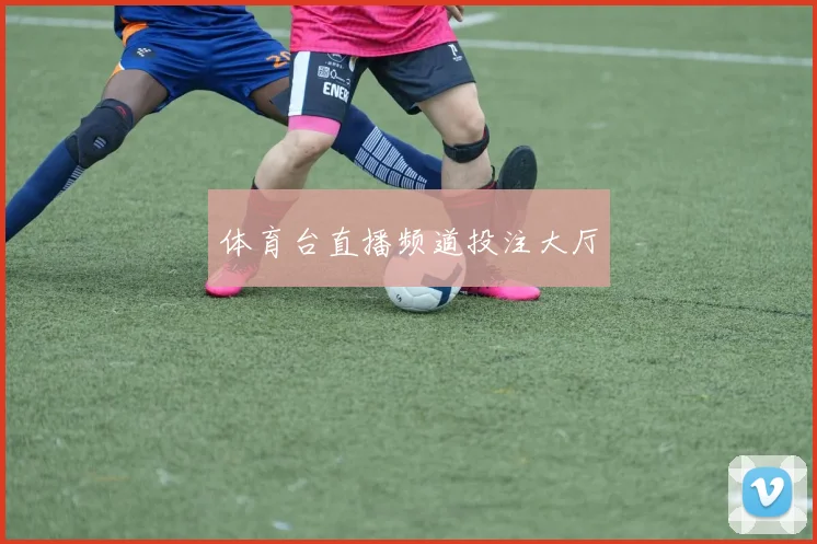 体育台直播频道投注大厅
