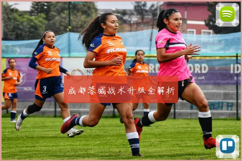 成都蓉城战术升级全解析