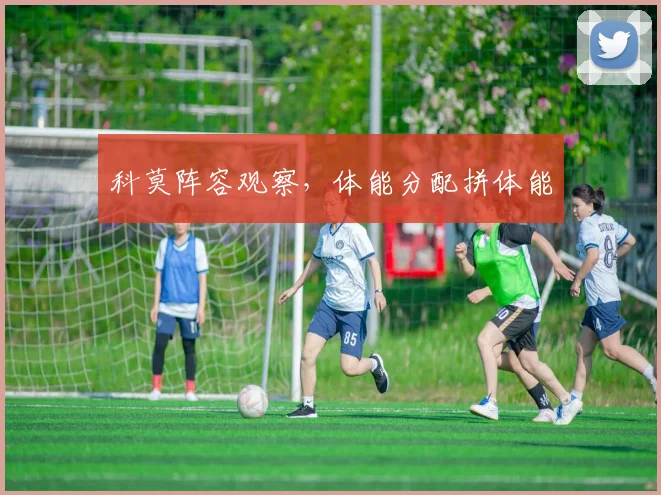 科莫阵容观察,体能分配拼体能