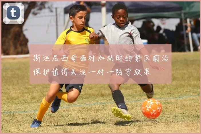 斯坦尼西奇面对加纳时的禁区前沿保护值得关注一对一防守效果