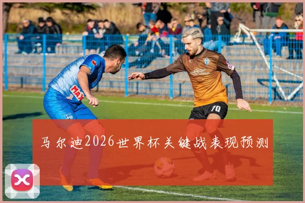 马尔迪2026世界杯关键战表现预测