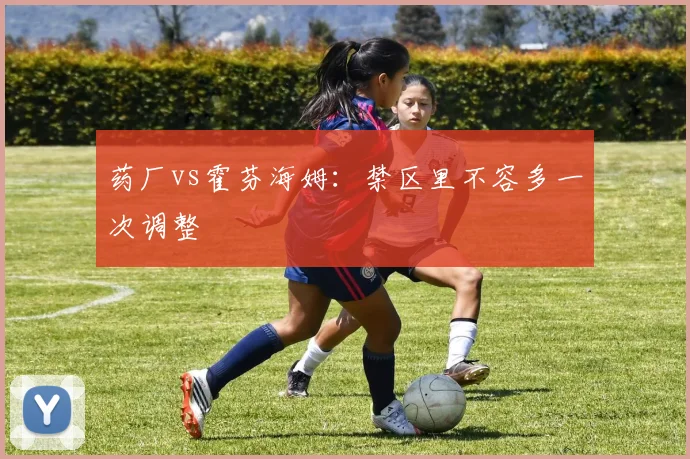 药厂vs霍芬海姆:禁区里不容多一次调整